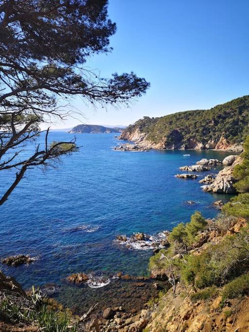 Apartamento Con Piscina L' Ancora Calella De Palafrugell Exterior photo